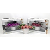 Arrangementen Phalaenopsis keramiek L'arrangeur D'orchidee, diverse kleuren