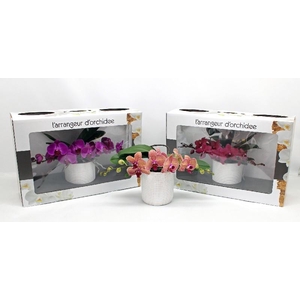 Arrangementen Phalaenopsis keramiek L'arrangeur D'orchidee, diverse kleuren