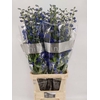 Delph Blue Emerald Den Bleker