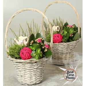 ARR TUINPLANTEN