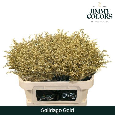 <h4>Solidago L70 Metallic Gold</h4>