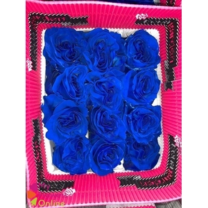 R Gr Tinted Dark Blue 60cm EC