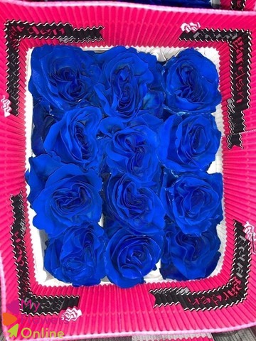 <h4>R Gr Tinted Dark Blue 60cm EC</h4>