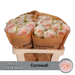 R GR CORNWALL