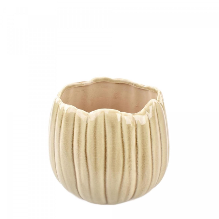 <h4>Ceramics Bulb pot d15*13cm</h4>