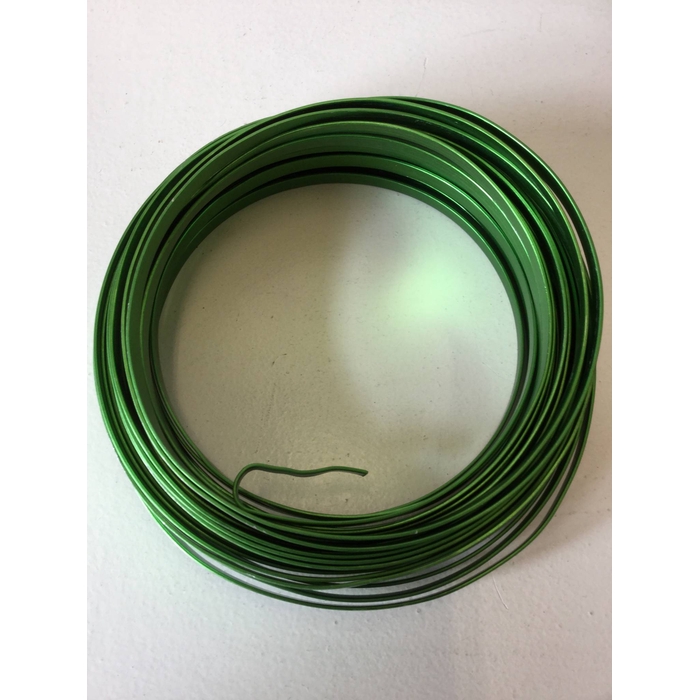 <h4>ALUMINIUM WIRE PLAT GROEN 12M</h4>