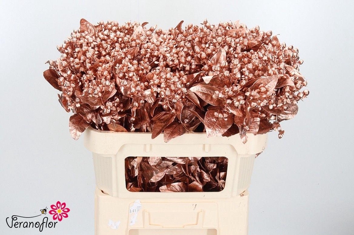 <h4>HYP OV KLB H%</h4>