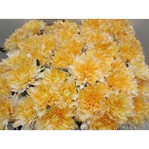 Chr G Undercover Pastel Oranje