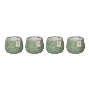 DIVERSE P12 L 805 GREEN