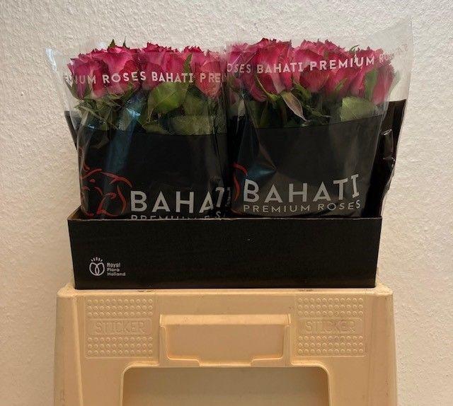 <h4>R GR DEEP PURPLE</h4>