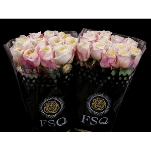 R GR Gar Fatima Garden