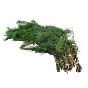 Kiefer Handbos 1000 Gram