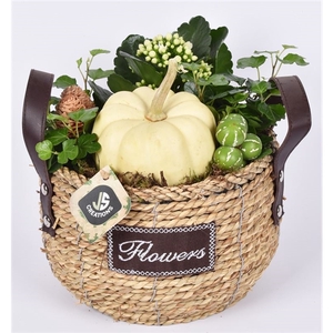 Arrangementen Sierfruit