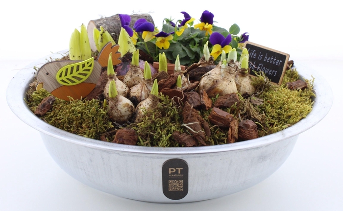 <h4>ARR PL IN SCHAAL</h4>