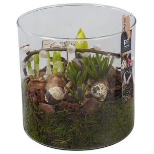 PTBMP5757 Arrangementen Tuinplanten