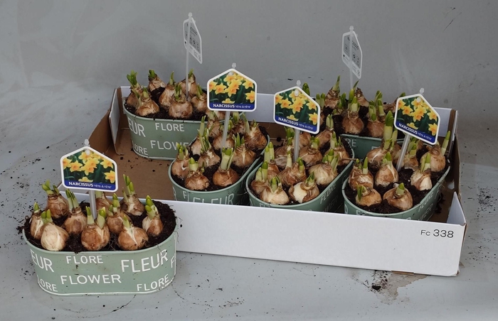 <h4>ARR N TETE A TETE</h4>