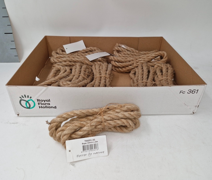 <h4>SISAL TOUW H%</h4>