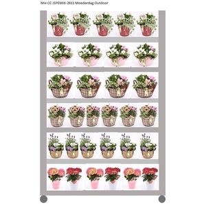 Mix CC Moederdag Outdoor