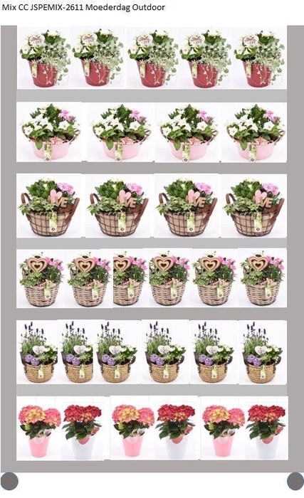 <h4>Mix CC Moederdag Outdoor</h4>