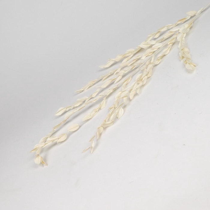 <h4>DF Fire Leaves Bleach Branched</h4>