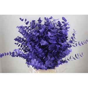 Euca Cinerea Milka 200gr