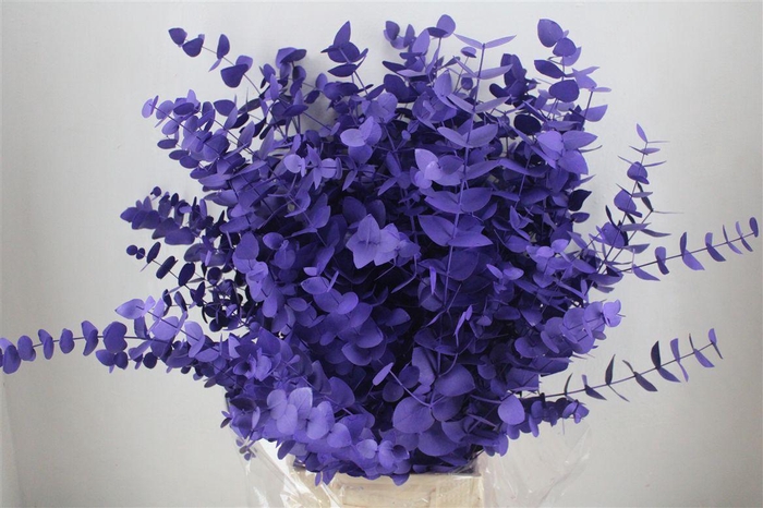 <h4>Euca Cinerea Milka 200gr</h4>