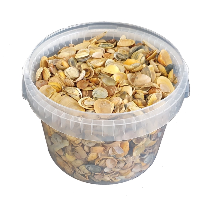 <h4>Shells north sea 3 ltr Yellow</h4>