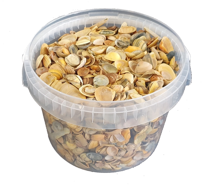 Shells north sea 3 ltr Yellow