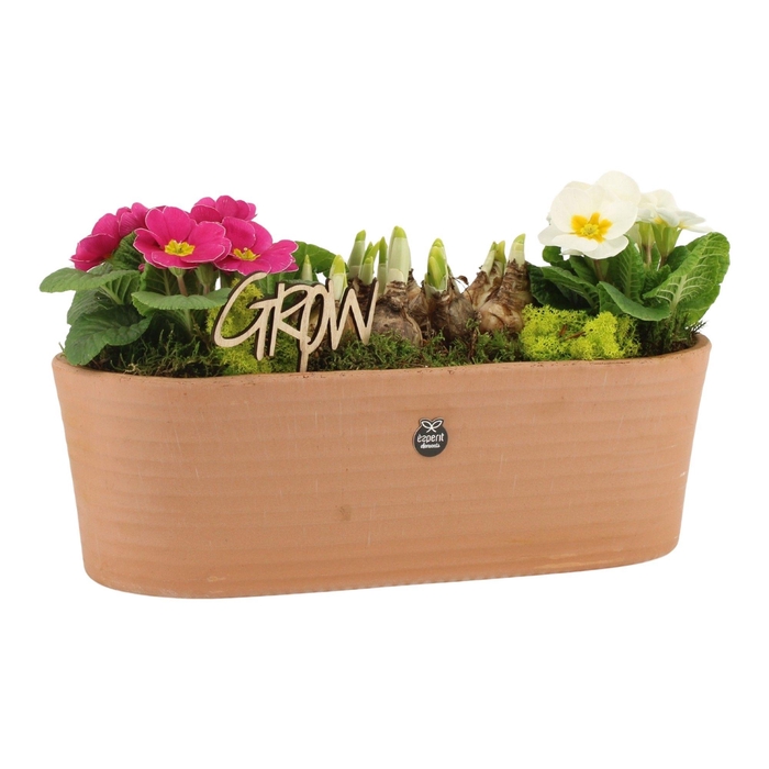 <h4>11443: Outdoor spring arrangement</h4>