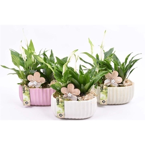 Keramiek ovaal mix kleur 18,5x12cm