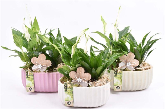 <h4>Keramiek ovaal mix kleur 18,5x12cm</h4>