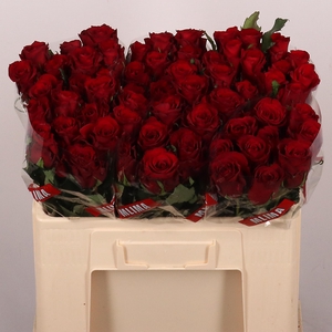 R GR RED LOVE