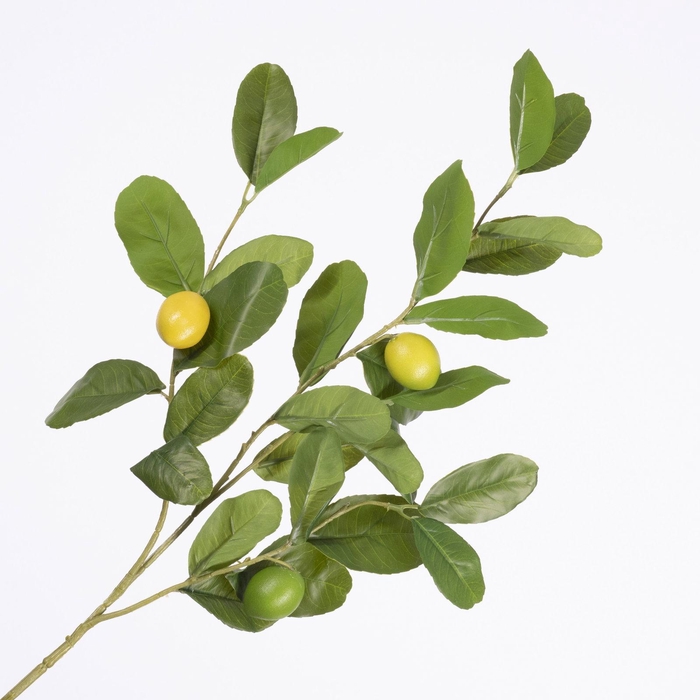 <h4>Lemon Spray Yellow Green LV330146YEL</h4>