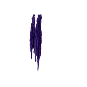 Preserved amaranthus paint purple
