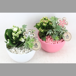 arr2 PL - Ker. bol schaal pink white