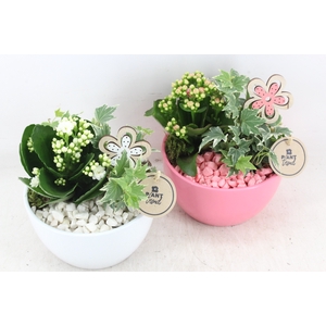 arr2 PL - Ker. bol schaal pink white