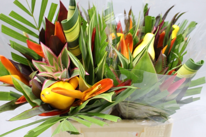 <h4>HELICONIA A BQT PETIT ROND 566</h4>