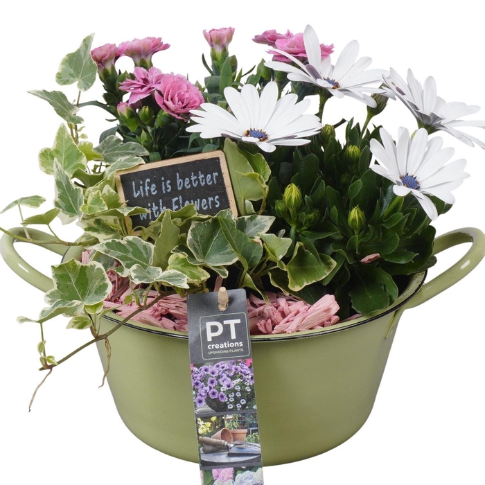 <h4>Arr. Perkplanten L%</h4>