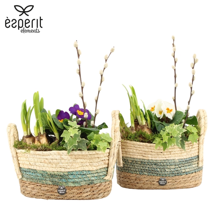 <h4>11702: Outdoor spring arrangement</h4>