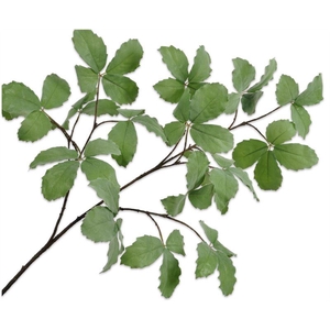 Tak blad 160cm groen 6/ds