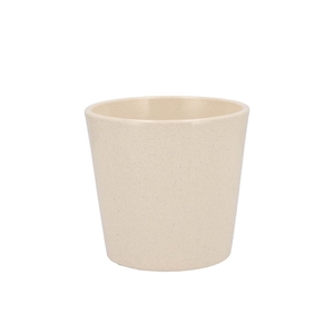 Ceramic Beige Stone Pot Orchid 14cm