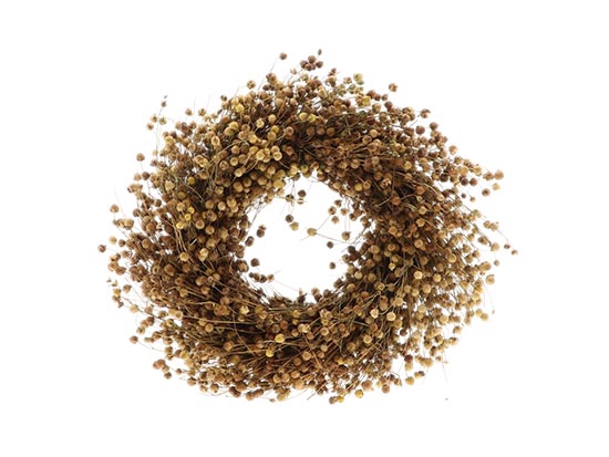 Wreath Flax Arba D30