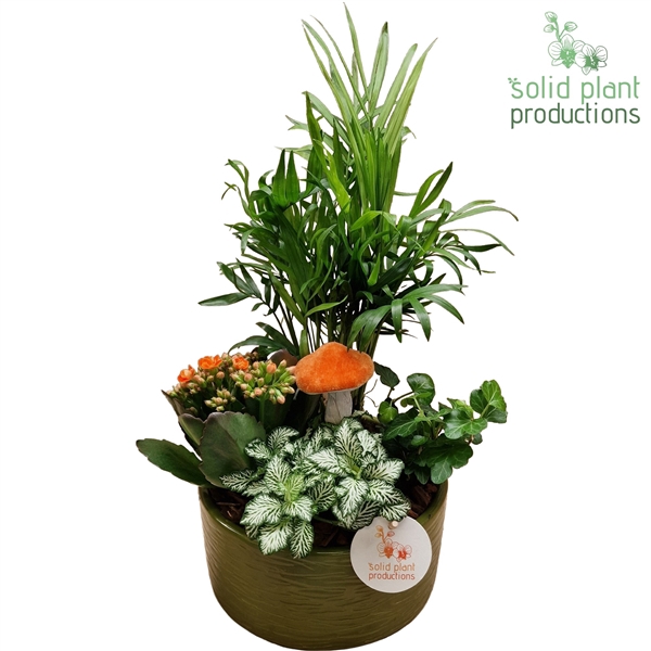 <h4>CH003 Loes Green Orange</h4>