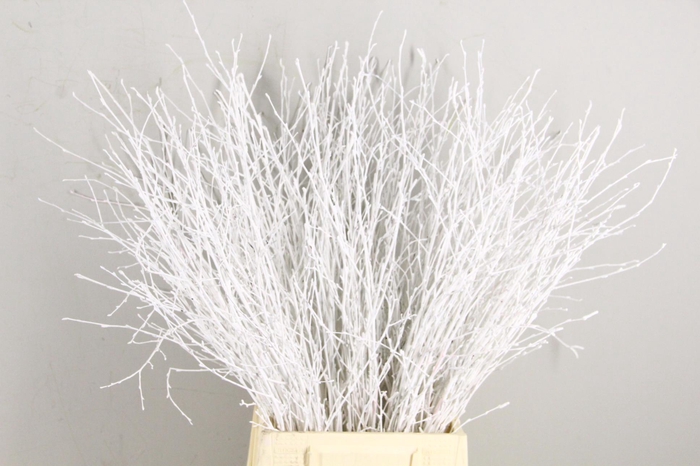 <h4>Betula Bs Paint White</h4>
