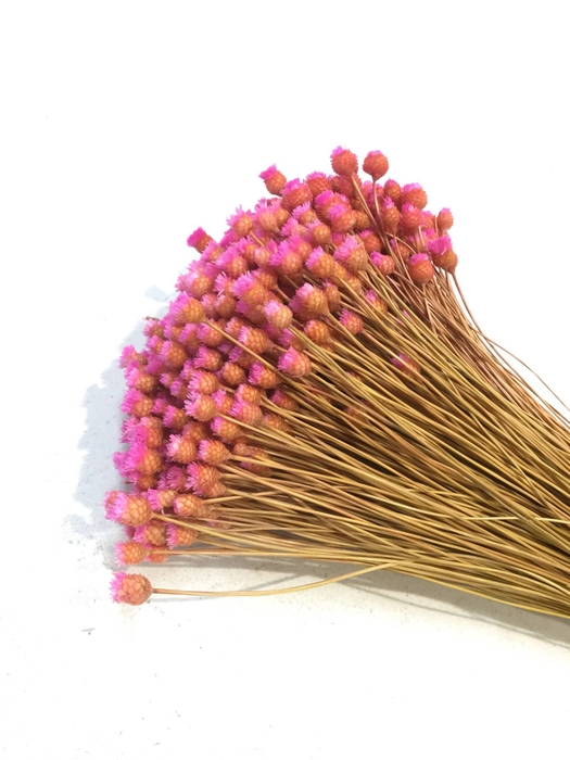 DRIED FLOWERS - HAPPY FLOWER LIGHTPINK 100GR