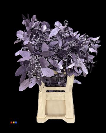 <h4>Populus Metallic Purple</h4>