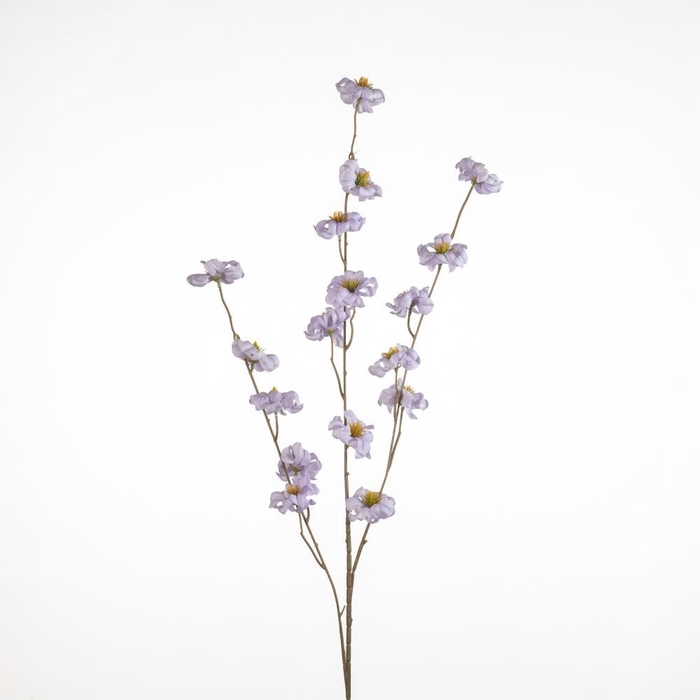 <h4>AF Blossom Frangi L115cm pu</h4>