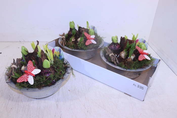 <h4>ARR BOL KNOLGEWAS</h4>