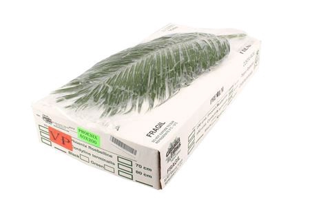 <h4>/PHOENIX 80 V P</h4>