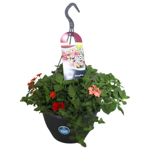 Hangpotten 27 waterreservoir Mix 05 Oranje/rode mix